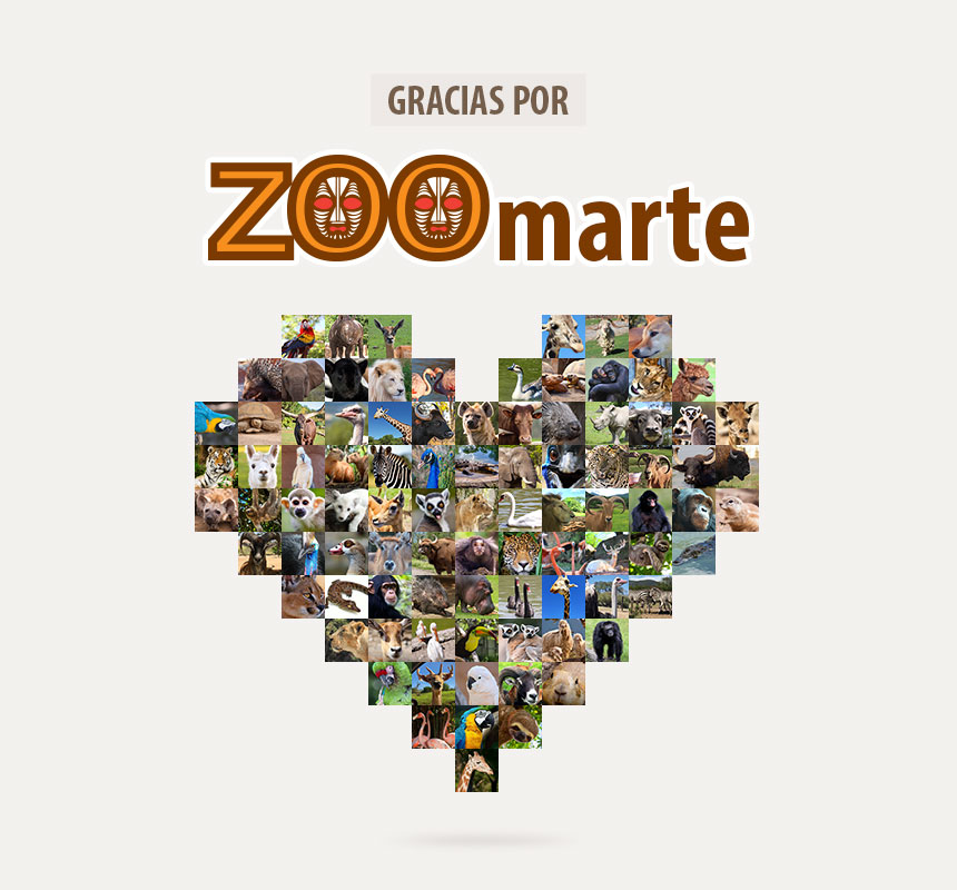 Gracias por ZOOmarte con Zoofari